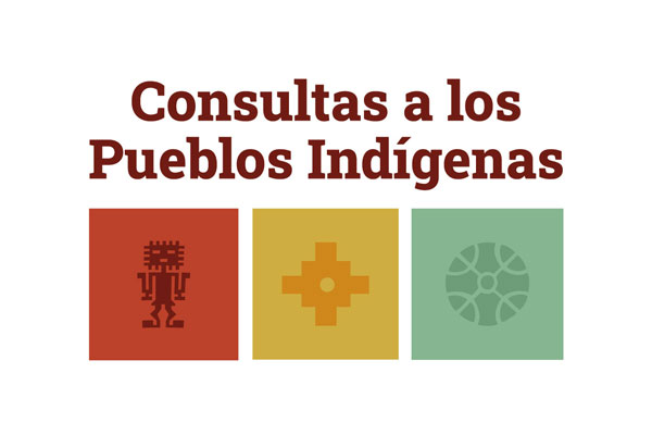 Consulta Indigena